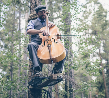 Musician in tree